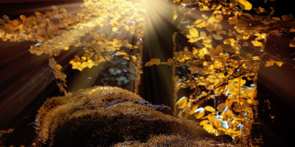 10 Outstanding UK Autumn Walks
