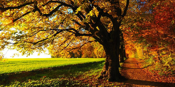 Clothing for Autumn Walks: Are You Ready to Ramble?