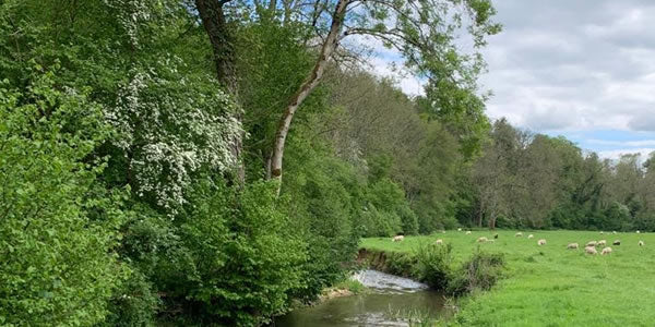 Return to walking with the Castle Combe to Ford walk
