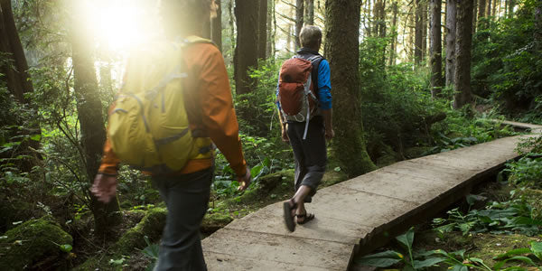 The Macmillan Way: A route to raising funds for charity