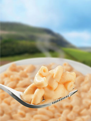 Wayfayrer Macaroni Cheese.